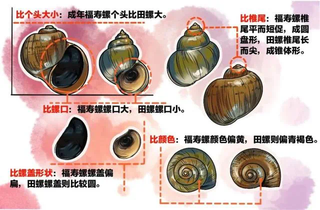 微信圖片_20250714140019.png
