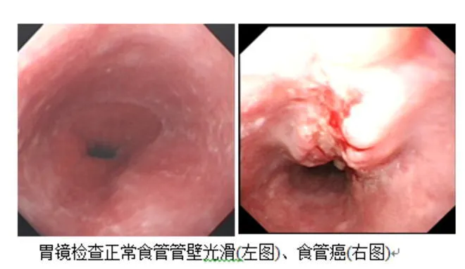 圖片5.png